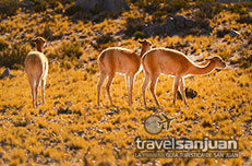 Parque Nacional San Guillermo, San Juan